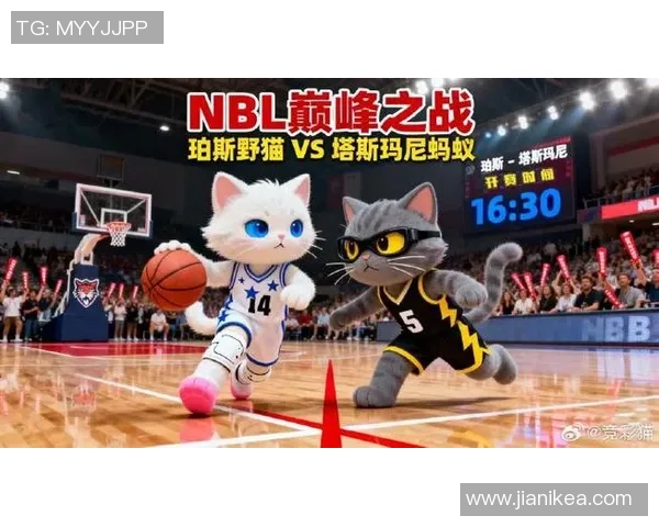 悉尼国王与珀斯野猫最新动态分析及比赛前瞻 悉尼国王与珀斯野猫最新动态分析及比赛前瞻